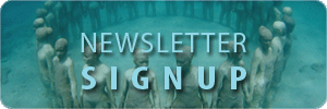 newsletter-button