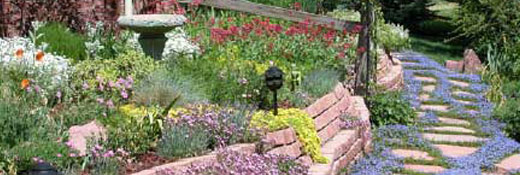 waterwise-landscaping
