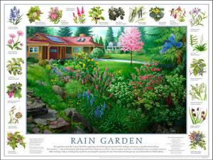 raingarden-3-240111