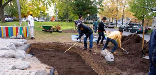 raingarden-4-240111