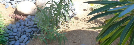waterwise-header